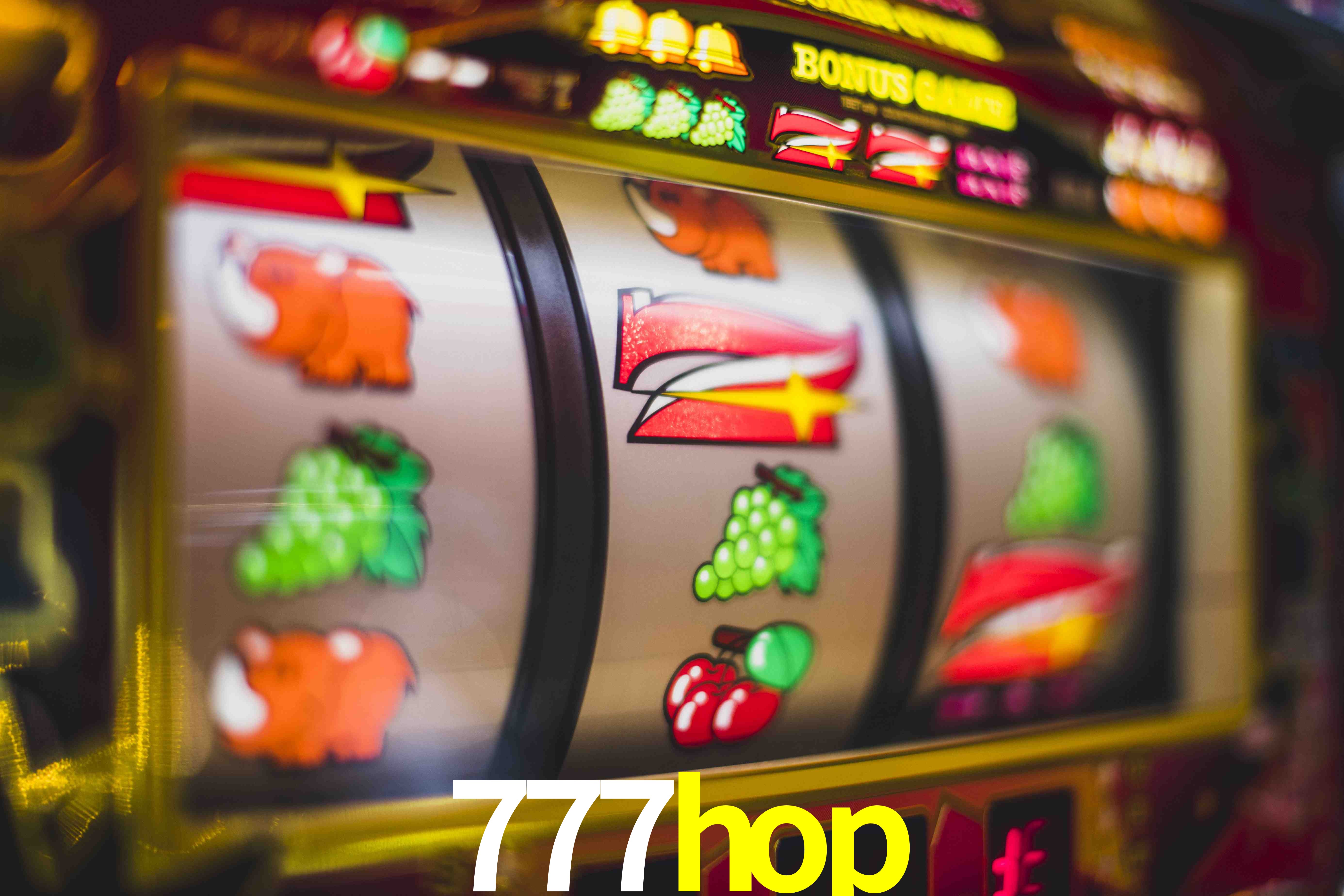 Sports Statistics 777hop